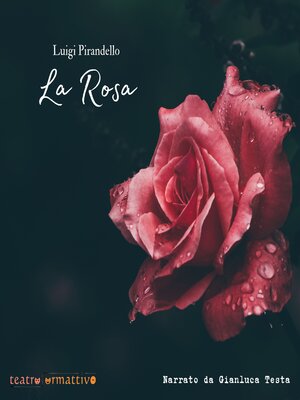 cover image of La rosa